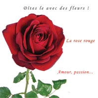 sans toi je ne peut pas vivre